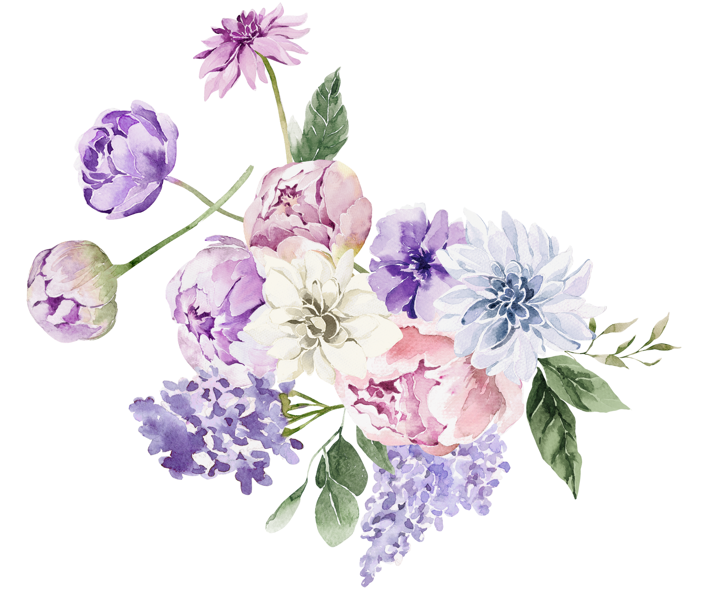 Watercolor lavender flowers
